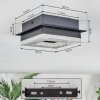 Walon Deckenleuchte LED Schwarz, 1-flammig