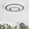Borin Deckenleuchte LED Grau, Weiß, 1-flammig