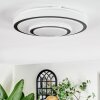 Borin Deckenleuchte LED Grau, Weiß, 1-flammig