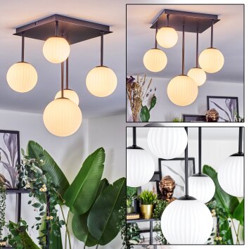 Chehalis Deckenleuchte Glas 10 cm, 12 cm, 15 cm Weiß, 5-flammig