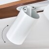 Dalan Deckenleuchte LED Naturfarben, Weiß, 4-flammig