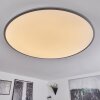 Champa Deckenpanel LED Silber, 1-flammig, Fernbedienung