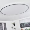 Champa Deckenpanel LED Silber, 1-flammig, Fernbedienung