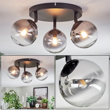 Chehalis Deckenleuchte Glas 12 cm Klar, Rauchfarben, 3-flammig