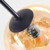 Koyoto Deckenleuchte Glas 15 cm Bernsteinfarben, Chrom, Rauchfarben, 6-flammig
