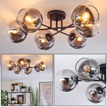 Koyoto Deckenleuchte Glas 15 cm Klar, Rauchfarben, 6-flammig