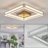 Danor Deckenleuchte LED Nickel-Matt, 1-flammig