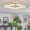 Danor Deckenleuchte LED Nickel-Matt, 1-flammig