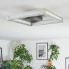 Danor Deckenleuchte LED Nickel-Matt, 1-flammig
