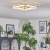 Danor Deckenleuchte LED Nickel-Matt, 1-flammig