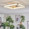 Danor Deckenleuchte LED Nickel-Matt, 1-flammig
