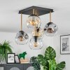Ripoll Deckenleuchte Glas 15 cm Gold, Schwarz, 5-flammig