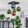 Koyoto Deckenleuchte Glas 15 cm Gold, Schwarz, 5-flammig