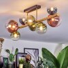 Chehalis Deckenleuchte Glas 10 cm, 12 cm, 15 cm Gold, Schwarz, 8-flammig