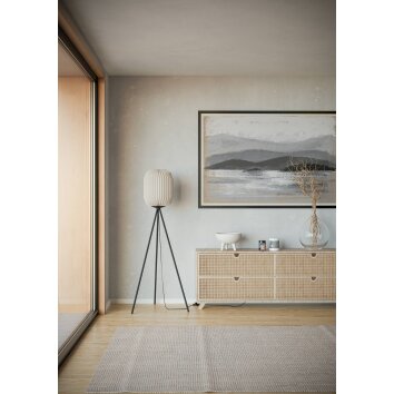 EGLO BELGRAVE Stehleuchte Schwarz, 1-flammig