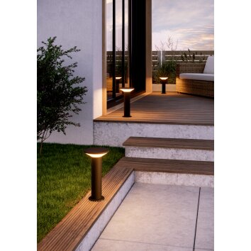 EGLO RIGOSA Sockelleuchte LED Schwarz, 1-flammig
