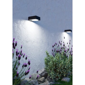 EGLO DARFANO Solarleuchte LED Schwarz, Bewegungsmelder EGLO DARFANO Solarleuchte LED Schwarz, Bewegungsmelder
