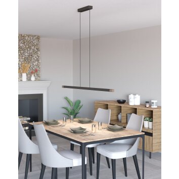 EGLO LISCIANA Hängeleuchte LED Grau