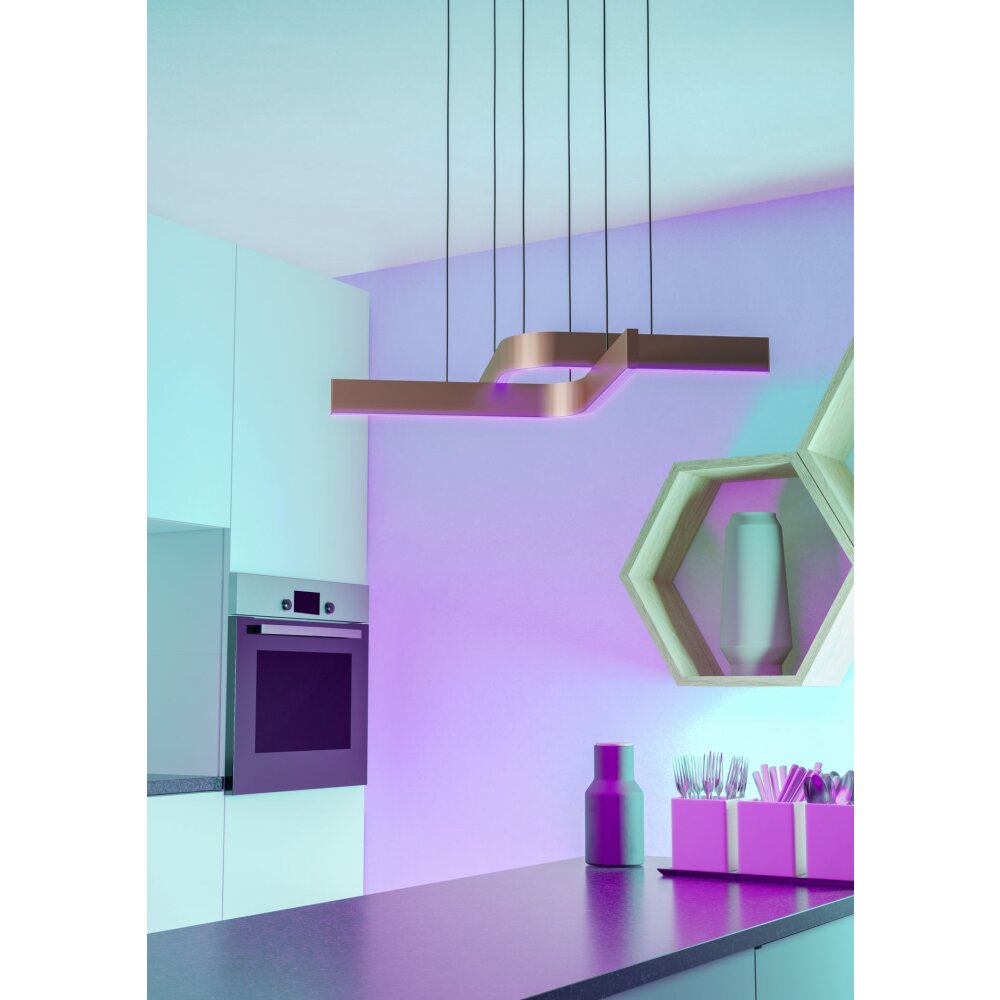 EGLO FOLCINO-Z Hängeleuchte LED Bronze, Schwarz, Farbwechsler main product photo
