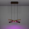 EGLO FOLCINO-Z Hängeleuchte LED Bronze, Schwarz, Farbwechsler