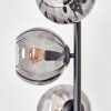 Koyoto Stehleuchte Glas 15 cm Rauchfarben, 5-flammig