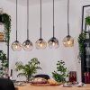 Ripoll Hängeleuchte Glas 15 cm Naturfarben, Schwarz, 5-flammig
