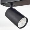 Foren Deckenleuchte LED Schwarz, 4-flammig, Farbwechsler Foren Deckenleuchte LED Schwarz, 4-flammig, Farbwechsler