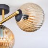 Ripoll Deckenleuchte Glas 15 cm Gold, Schwarz, 3-flammig