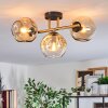 Ripoll Deckenleuchte Glas 15 cm Gold, Schwarz, 3-flammig