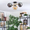 Ripoll Deckenleuchte Glas 15 cm Gold, Schwarz, 3-flammig