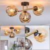 Ripoll Deckenleuchte Glas 15 cm Gold, Schwarz, 3-flammig