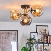 Ripoll Deckenleuchte Glas 15 cm Gold, Schwarz, 3-flammig