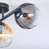 Koyoto Deckenleuchte Glas 15 cm Bernsteinfarben, Klar, Rauchfarben, 3-flammig