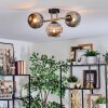 Ripoll Deckenleuchte Glas 15 cm Gold, Schwarz, 3-flammig