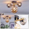 Chehalis Deckenleuchte Glas 10 cm, 15 cm Gold, Schwarz, 3-flammig