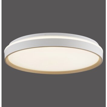 Paul Neuhaus MIO Deckenleuchte LED Sandfarben, 1-flammig, Fernbedienung