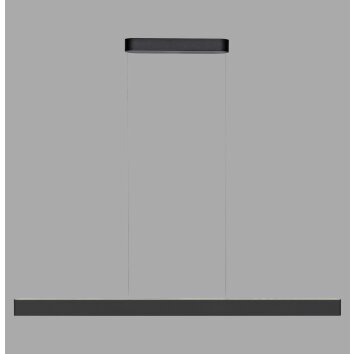 Paul Neuhaus Q-STRETTO Pendelleuchte LED Schwarz, 2-flammig, Fernbedienung