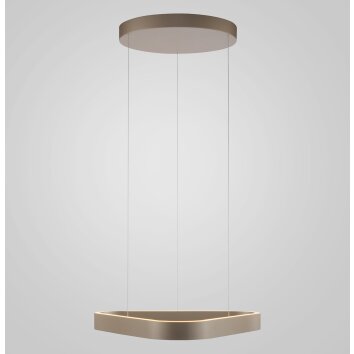 Paul Neuhaus Q-STRETTO Pendelleuchte LED Bronze, 2-flammig, Fernbedienung