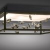 Paul Neuhaus SKINA Deckenleuchte LED Schwarz, 1-flammig, Fernbedienung