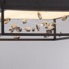 Paul Neuhaus SKINA Deckenleuchte LED Schwarz, 1-flammig, Fernbedienung