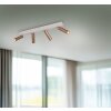 Trio Ambala Deckenspot LED Braun, 4-flammig