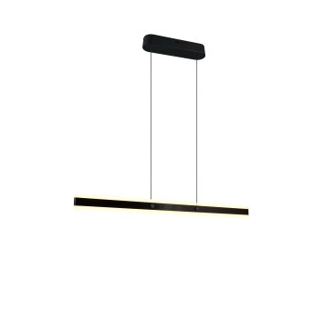 Trio Arcola Pendelleuchte LED Schwarz, 1-flammig