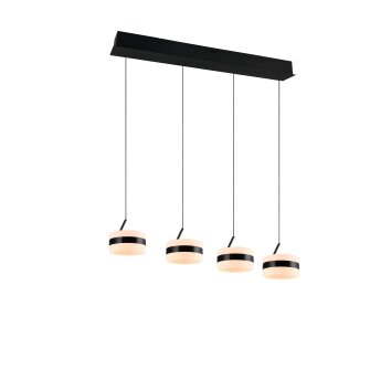 Trio Dios Pendelleuchte LED Schwarz, 4-flammig