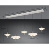 Trio KEATON Pendelleuchte LED Grau, 1-flammig