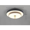Trio KEATON Deckenleuchte LED Schwarz-Gold, 1-flammig