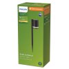 Philips Outdoor Fyce Sockelleuchte LED Schwarz, 1-flammig