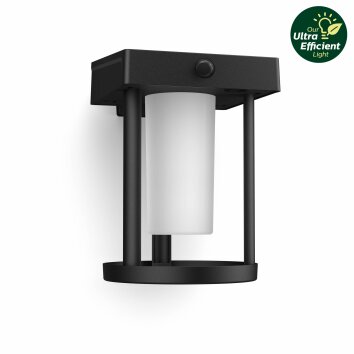 Philips Outdoor A-Label Solar Camill Wandleuchte LED Schwarz, 1-flammig, Bewegungsmelder