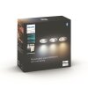 Philips Hue White Ambience Adore Deckenleuchte Silber, 1-flammig