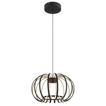 Globo Ribbon Hängeleuchte LED Schwarz, 1-flammig