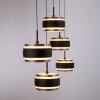 Paul Neuhaus PURE Falling Rings Pendelleuchte LED Schwarz, Transparent, Klar, 5-flammig, Fernbedienung